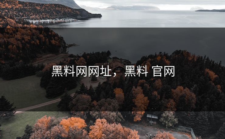 黑料网网址，黑料 官网