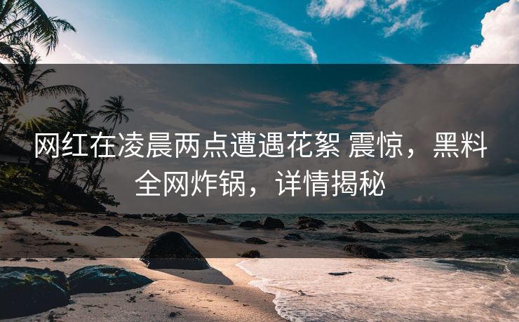 网红在凌晨两点遭遇花絮 震惊，黑料全网炸锅，详情揭秘