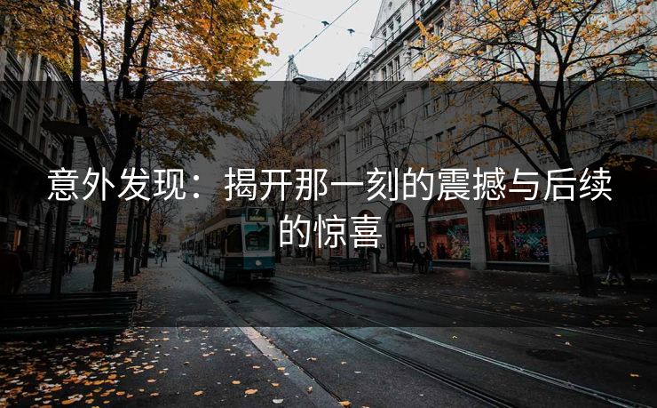 意外发现:揭开那一刻的震撼与后续的惊喜 意外发现:揭开那一刻的震撼与后续的惊喜