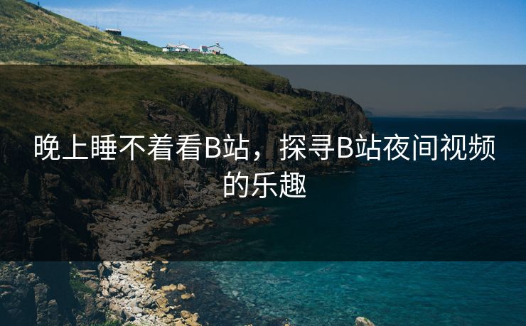 晚上睡不着看B站，探寻B站夜间视频的乐趣