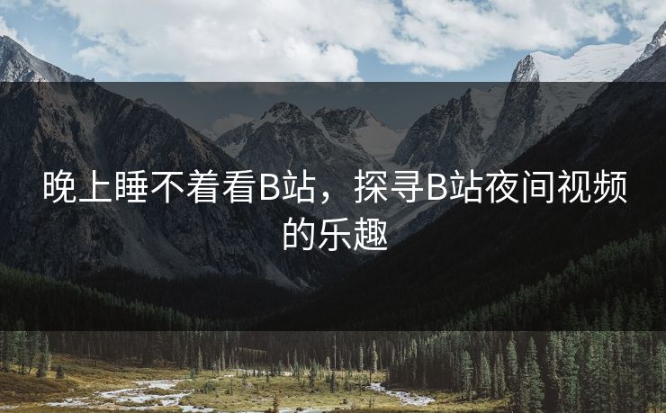 晚上睡不着看B站，探寻B站夜间视频的乐趣