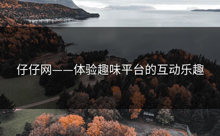 仔仔网——体验趣味平台的互动乐趣
