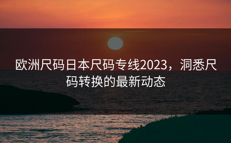 欧洲尺码日本尺码专线2023，洞悉尺码转换的最新动态