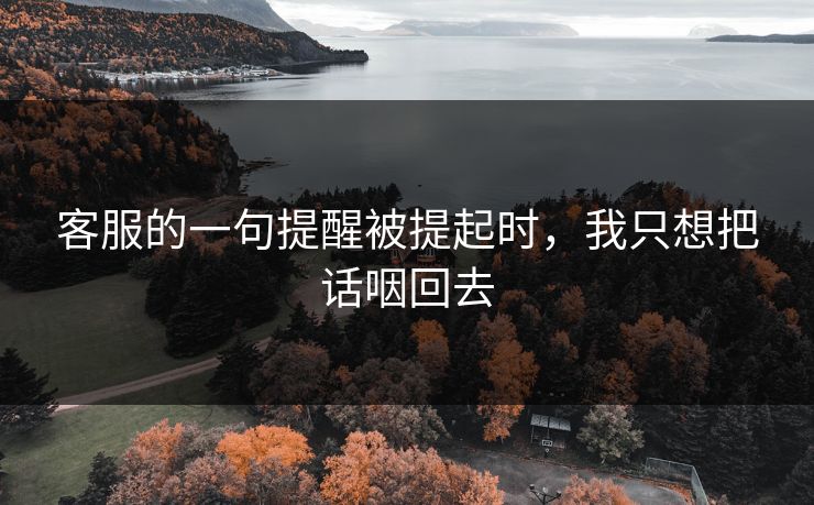 客服的一句提醒被提起时,我只想把话咽回去