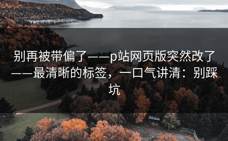 别再被带偏了——p站网页版突然改了——最清晰的标签，一口气讲清：别踩坑